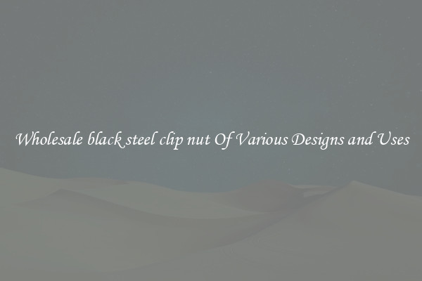 Wholesale black steel clip nut Of Various Designs and Uses