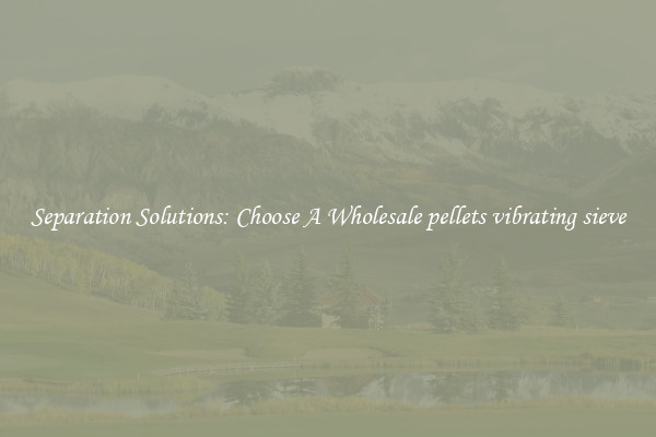 Separation Solutions: Choose A Wholesale pellets vibrating sieve