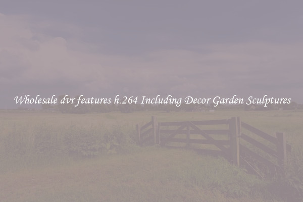 Wholesale dvr features h.264 Including Decor Garden Sculptures