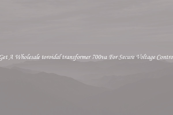 Get A Wholesale toroidal transformer 700va For Secure Voltage Control