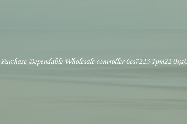 Purchase Dependable Wholesale controller 6es7223 1pm22 0xa0