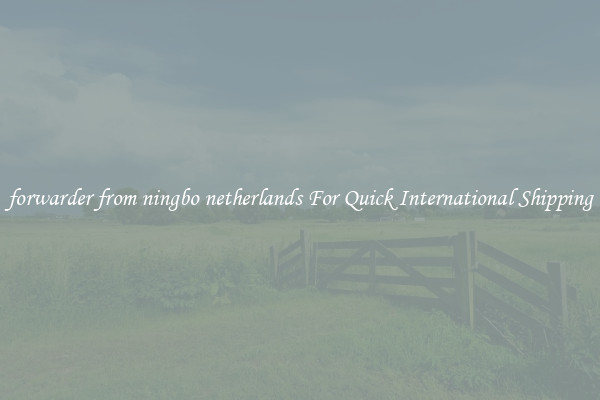 forwarder from ningbo netherlands For Quick International Shipping