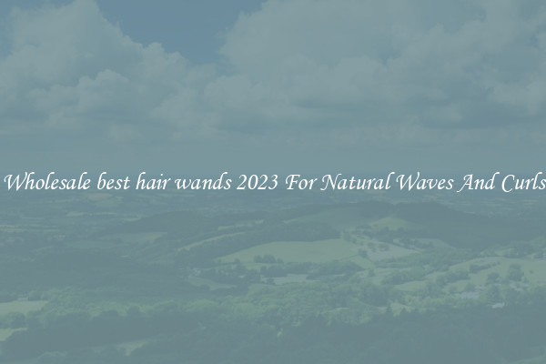 Wholesale best hair wands 2023 For Natural Waves And Curls