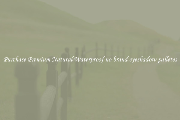 Purchase Premium Natural Waterproof no brand eyeshadow palletes