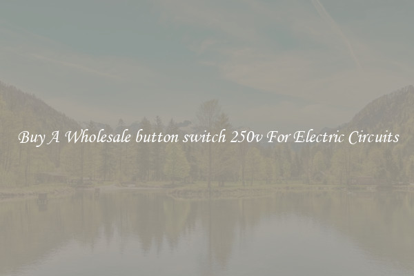 Buy A Wholesale button switch 250v For Electric Circuits
