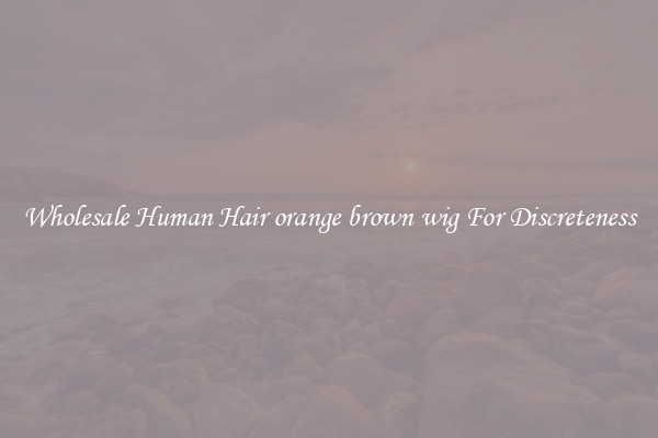 Wholesale Human Hair orange brown wig For Discreteness