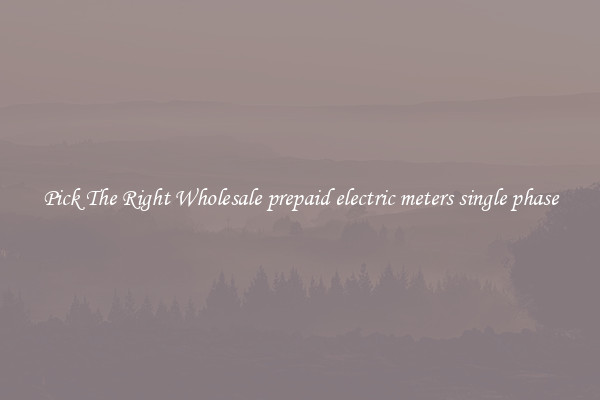 Pick The Right Wholesale prepaid electric meters single phase