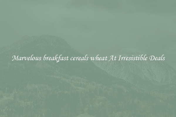 Marvelous breakfast cereals wheat At Irresistible Deals