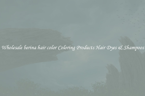 Wholesale berina hair color Coloring Products Hair Dyes & Shampoos