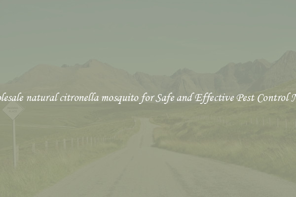 Wholesale natural citronella mosquito for Safe and Effective Pest Control Needs