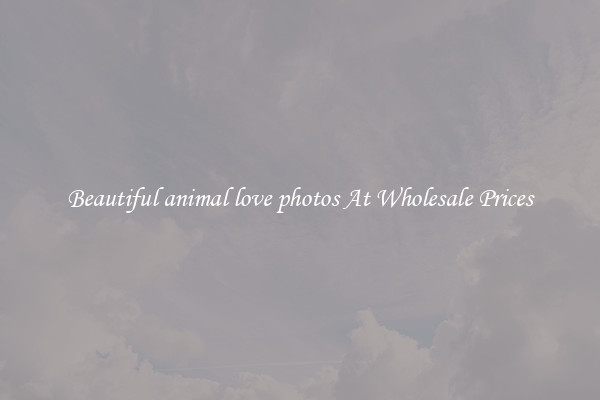 Beautiful animal love photos At Wholesale Prices