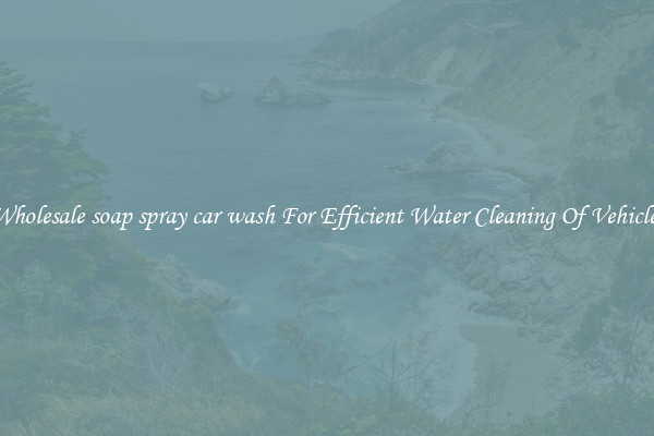 Wholesale soap spray car wash For Efficient Water Cleaning Of Vehicles