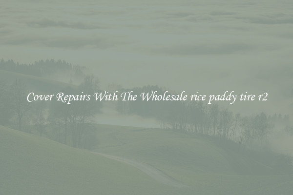  Cover Repairs With The Wholesale rice paddy tire r2 