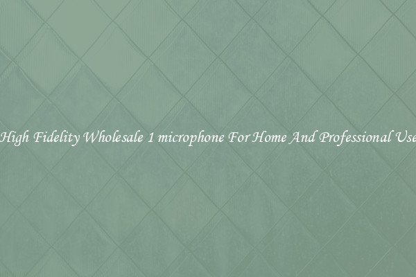 High Fidelity Wholesale 1 microphone For Home And Professional Use