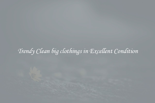 Trendy Clean big clothings in Excellent Condition