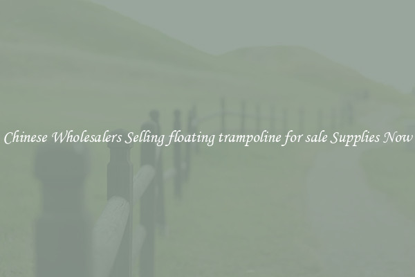 Chinese Wholesalers Selling floating trampoline for sale Supplies Now