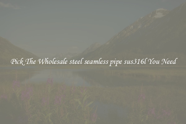 Pick The Wholesale steel seamless pipe sus316l You Need