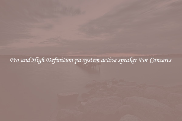 Pro and High Definition pa system active speaker For Concerts 