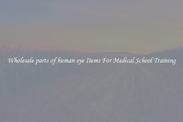 Wholesale parts of human eye Items For Medical School Training